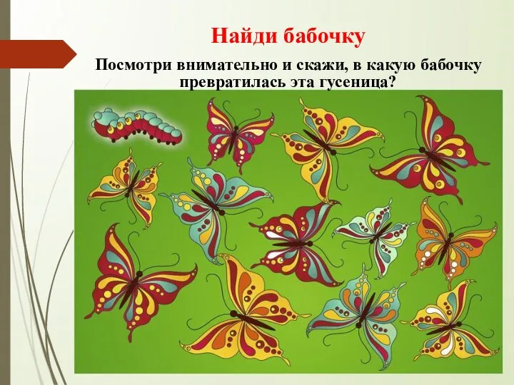 Найди бабочку Посмотри внимательно и скажи, в какую бабочку превратилась эта гусеница?