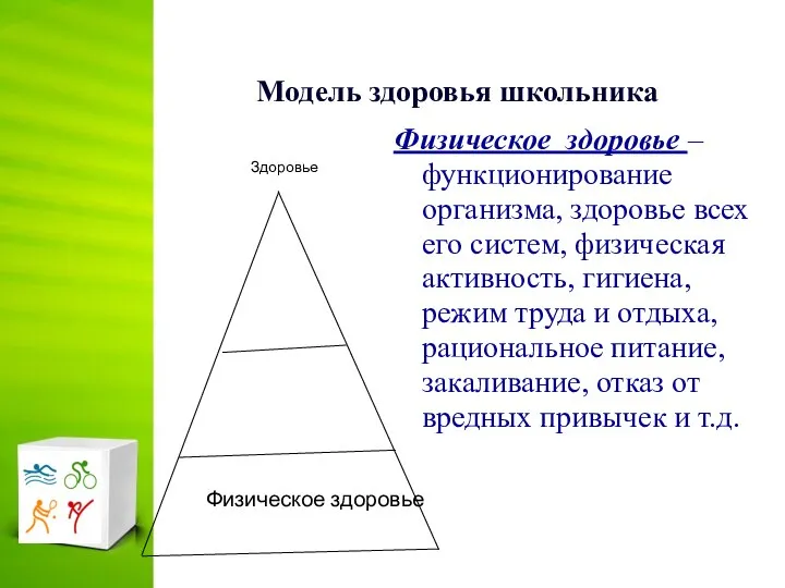 Модель здоровья школьника Физическое здоровье – функционирование организма, здоровье всех его систем,