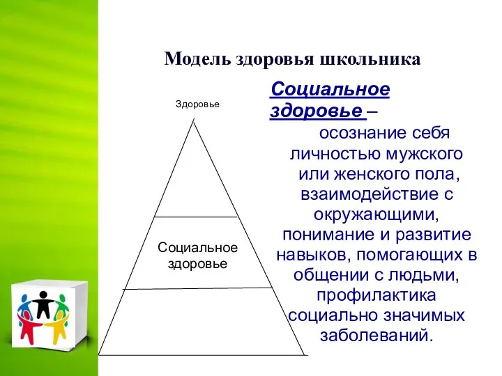 Модель здоровья школьника Социальное здоровье – осознание себя личностью мужского или женского