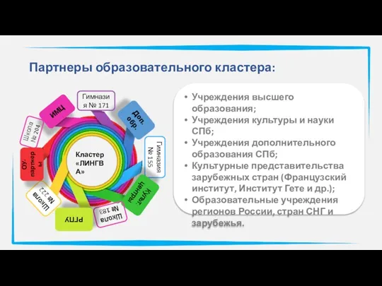 Партнеры образовательного кластера: Учреждения высшего образования; Учреждения культуры и науки СПб; Учреждения