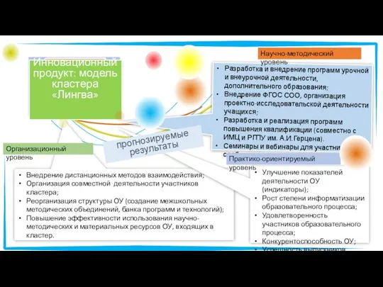 Разработка и внедрение программ урочной и внеурочной деятельности, дополнительного образования; Внедрение ФГОС