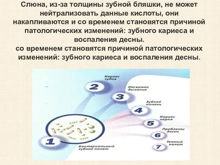 Слюна, из-за толщины зубной бляшки, не может нейтрализовать данные кислоты, они накапливаются