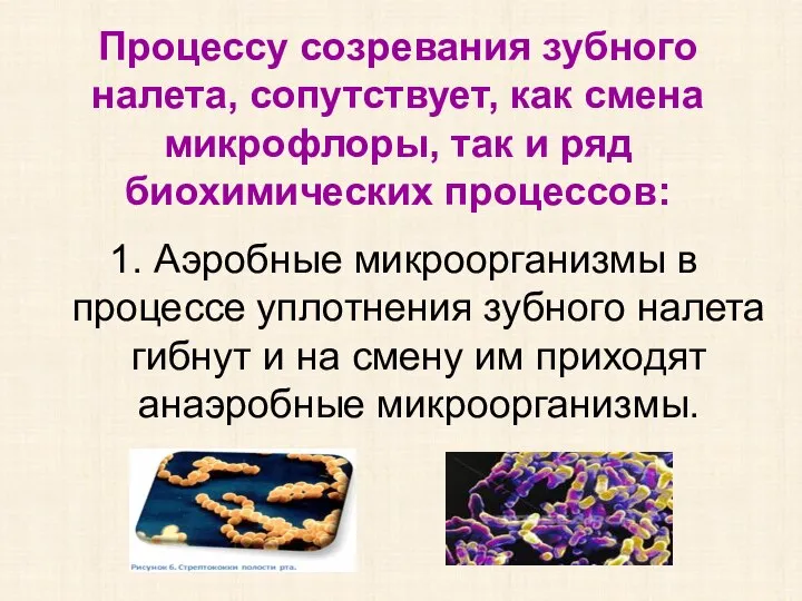 Процессу созревания зубного налета, сопутствует, как смена микрофлоры, так и ряд биохимических