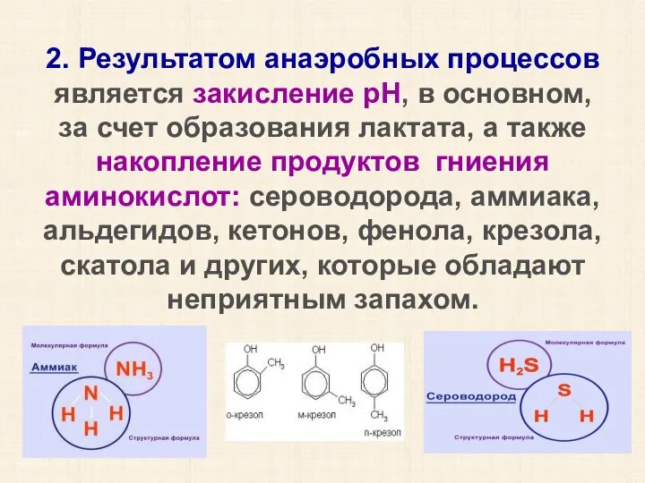 2. Результатом анаэробных процессов является закисление рН, в основном, за счет образования