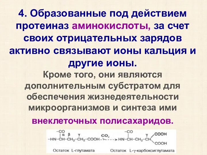 4. Образованные под действием протеиназ аминокислоты, за счет своих отрицательных зарядов активно