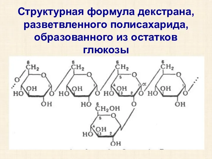 Структурная формула декстрана, разветвленного полисахарида, образованного из остатков глюкозы