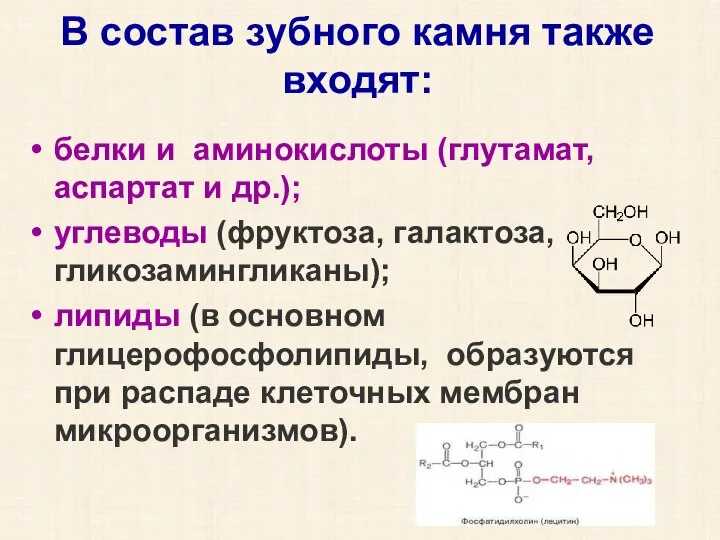 В состав зубного камня также входят: белки и аминокислоты (глутамат, аспартат и