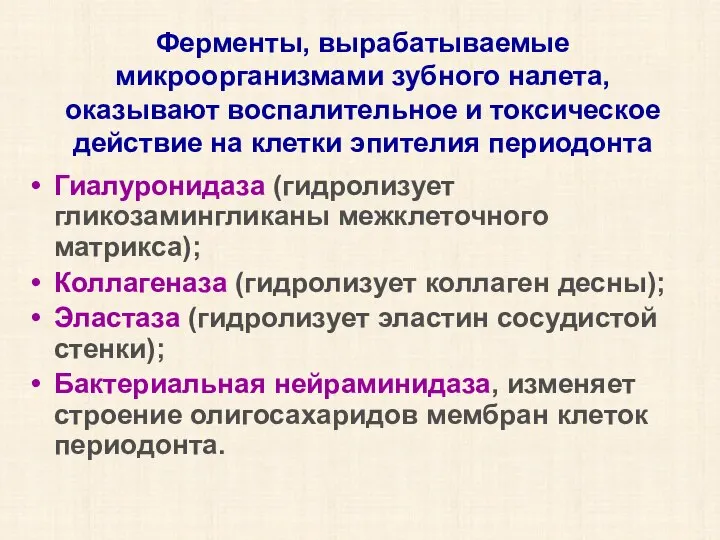 Ферменты, вырабатываемые микроорганизмами зубного налета, оказывают воспалительное и токсическое действие на клетки