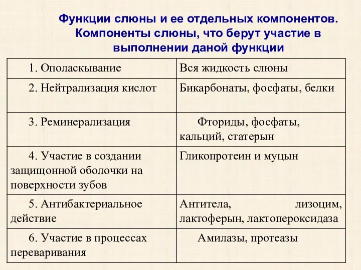 Функции слюны и ее отдельных компонентов. Компоненты слюны, что берут участие в выполнении даной функции