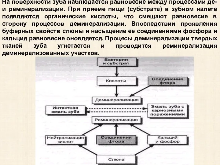 На поверхности зуба наблюдается равновесие между процессами де- и реминерализации. При приеме