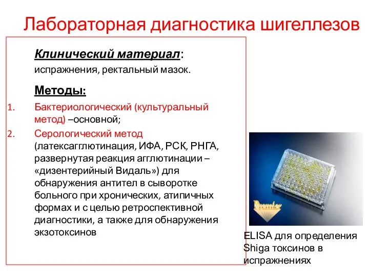 Лабораторная диагностика шигеллезов Клинический материал: испражнения, ректальный мазок. Методы: Бактериологический (культуральный метод)