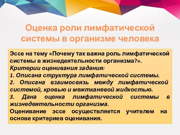 Оценка роли лимфатической системы в организме человека Эссе на тему «Почему так