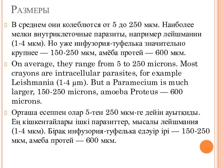 Размеры В среднем они колеблются от 5 до 250 мкм. Наибо­лее мелки