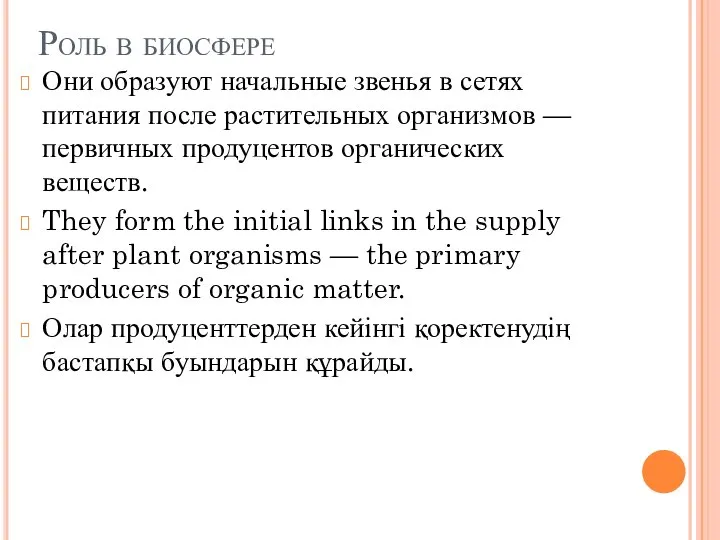 Роль в биосфере Они образуют начальные звенья в сетях питания после растительных