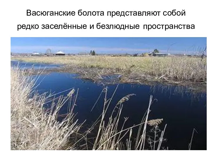 Васюганские болота представляют собой редко заселённые и безлюдные пространства