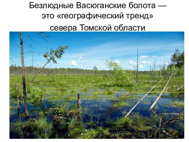 Безлюдные Васюганские болота — это «географический тренд» севера Томской области