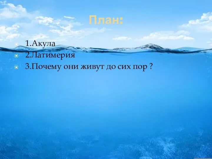 План: 1.Акула 2.Латимерия 3.Почему они живут до сих пор ?