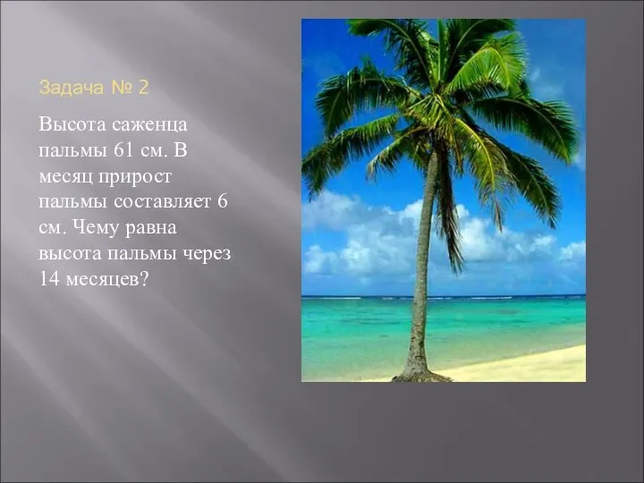 Задача № 2 Высота саженца пальмы 61 см. В месяц прирост пальмы