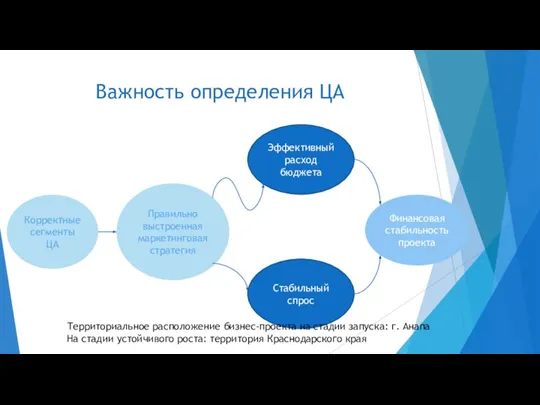 Важность определения ЦА Корректные сегменты ЦА Правильно выстроенная маркетинговая стратегия Эффективный расход