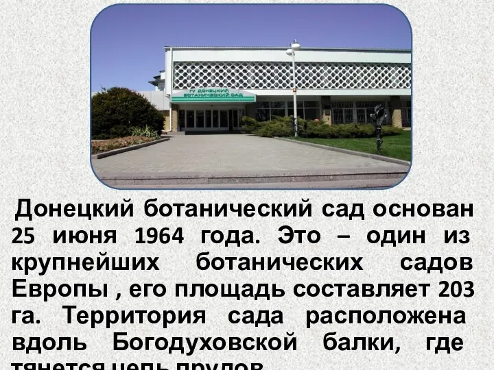 Донецкий ботанический сад основан 25 июня 1964 года. Это – один из