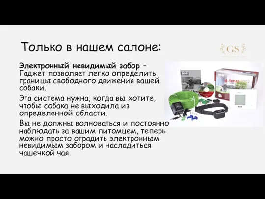 Только в нашем салоне: Электронный невидимый забор – Гаджет позволяет легко определить