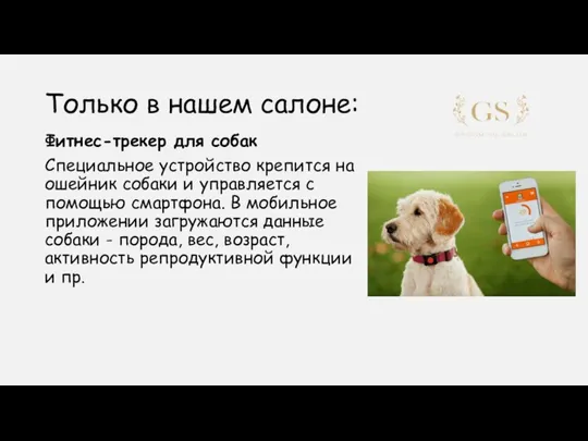 Только в нашем салоне: Фитнес-трекер для собак Специальное устройство крепится на ошейник