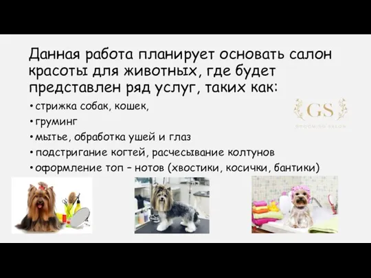 Данная работа планирует основать салон красоты для животных, где будет представлен ряд