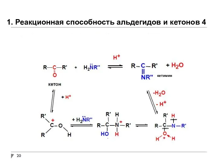 1. Реакционная способность альдегидов и кетонов 4 кетимин
