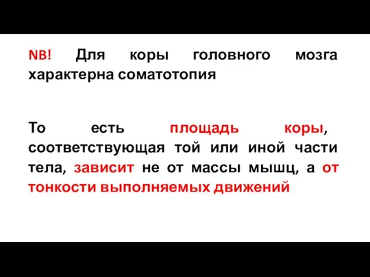 NB! Для коры головного мозга характерна соматотопия То есть площадь коры, соответствующая