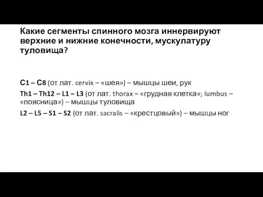 Какие сегменты спинного мозга иннервируют верхние и нижние конечности, мускулатуру туловища? С1