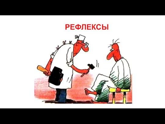 РЕФЛЕКСЫ