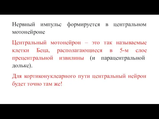 Нервный импульс формируется в центральном мотонейроне Центральный мотонейрон – это так называемые