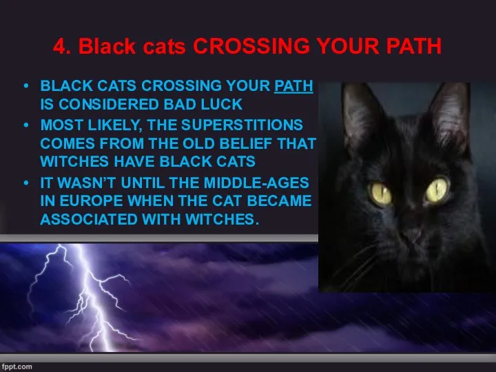 4. Black cats CROSSING YOUR PATH BLACK CATS CROSSING YOUR PATH IS