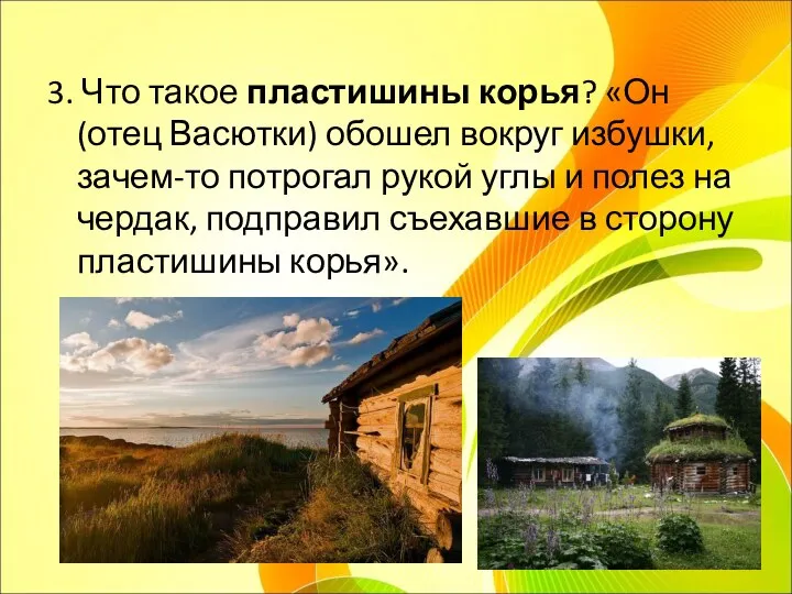 3. Что такое пластишины корья? «Он (отец Васютки) обошел вокруг избушки, зачем-то