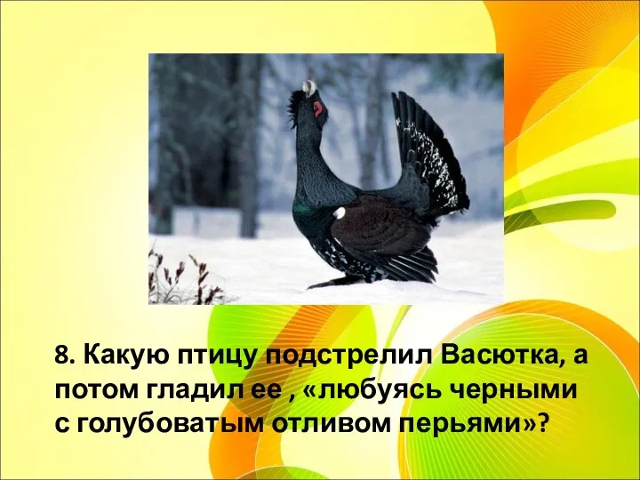 8. Какую птицу подстрелил Васютка, а потом гладил ее , «любуясь черными с голубоватым отливом перьями»?