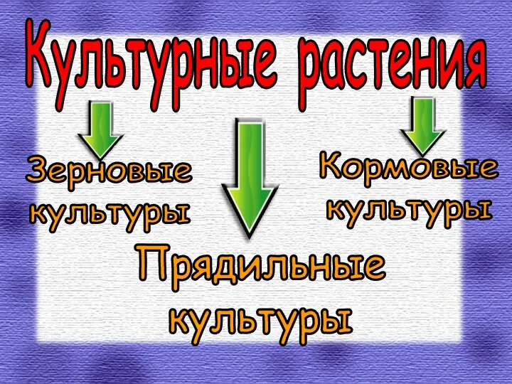 Культурные растения Зерновые культуры Прядильные культуры Кормовые культуры