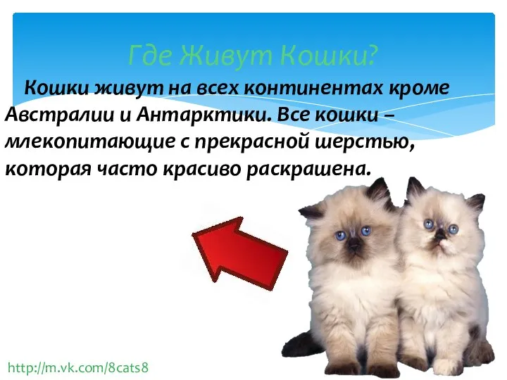 http://m.vk.com/8cats8 Где Живут Кошки? Кошки живут на всех континентах кроме Австралии и