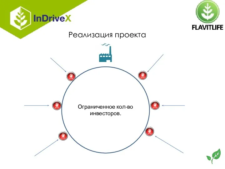 Ограниченное кол-во инвесторов. Реализация проекта