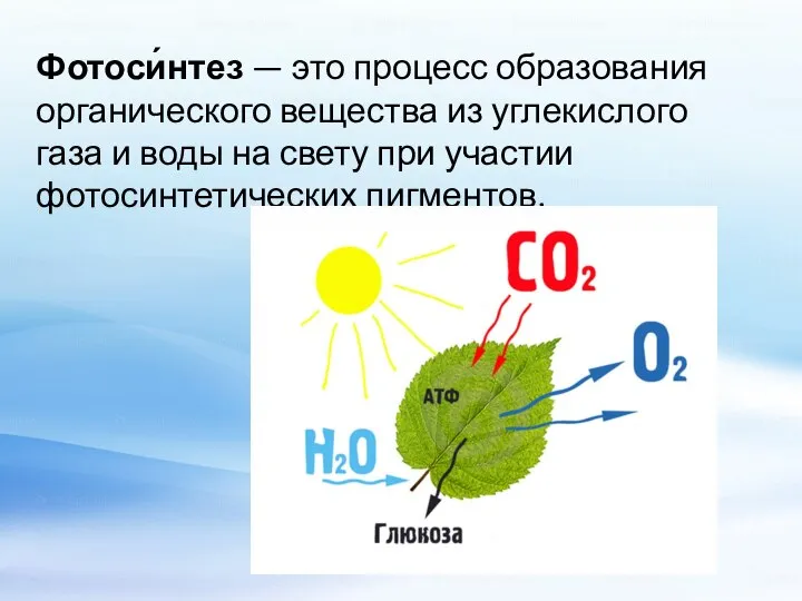 Фотоси́нтез — это процесс образования органического вещества из углекислого газа и воды