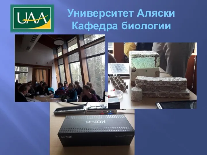 Университет Аляски Кафедра биологии