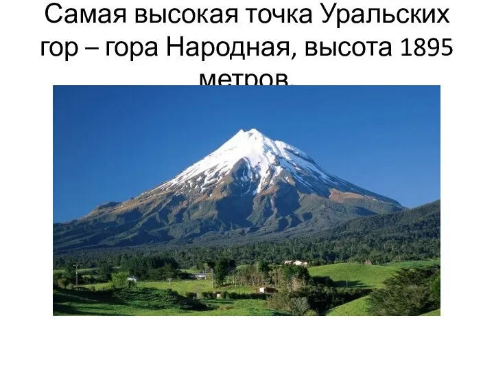 Самая высокая точка Уральских гор – гора Народная, высота 1895 метров. а