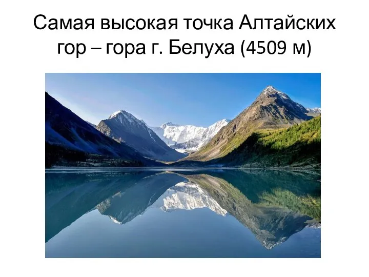 Самая высокая точка Алтайских гор – гора г. Белуха (4509 м) а