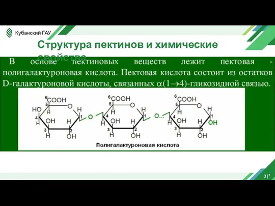 2|7 Структура пектинов и химические свойства
