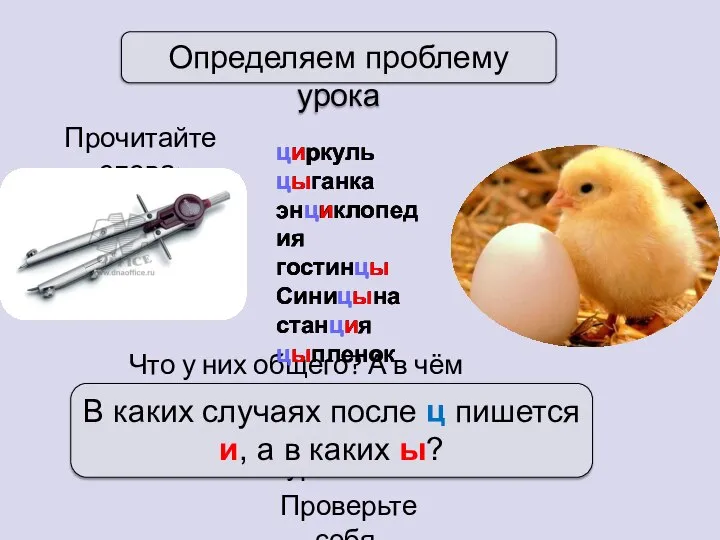 Определяем проблему урока Прочитайте слова: циркуль цыганка энциклопедия гостинцы Синицына станция цыпленок