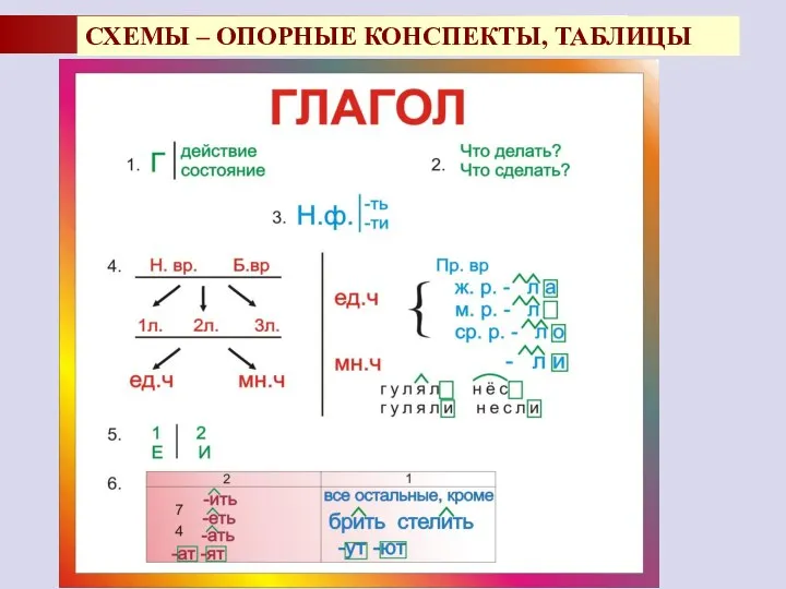 СХЕМЫ – ОПОРНЫЕ КОНСПЕКТЫ, ТАБЛИЦЫ