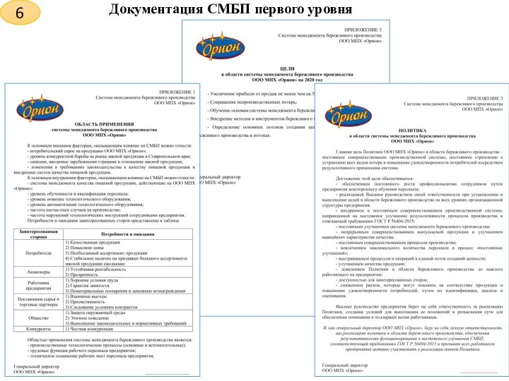 Документация СМБП первого уровня 6