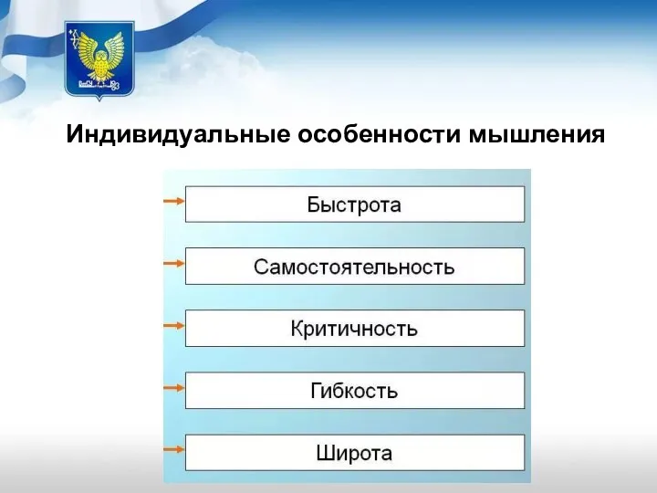 Индивидуальные особенности мышления