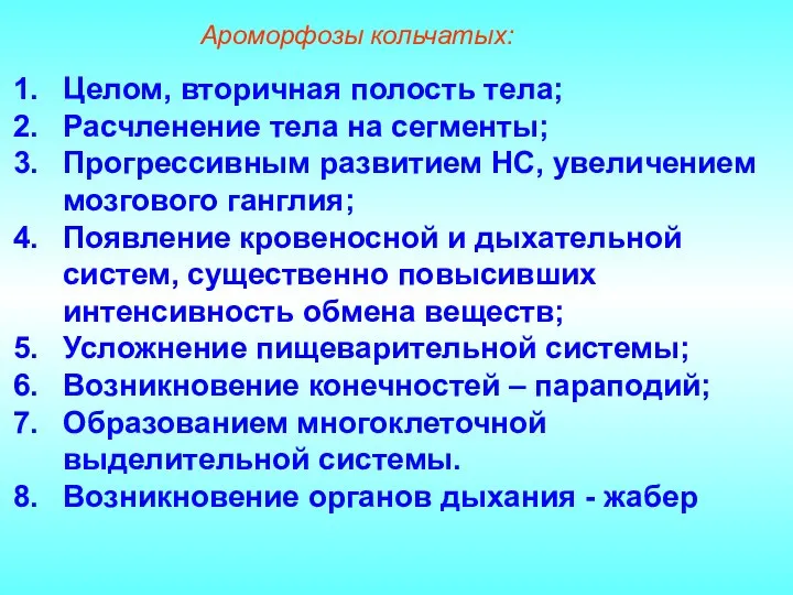 Ароморфозы кольчатых: Целом, вторичная полость тела; Расчленение тела на сегменты; Прогрессивным развитием