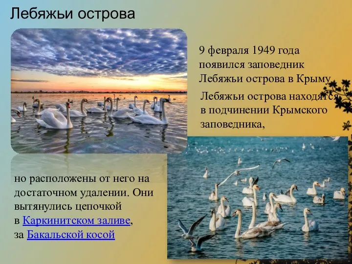 Лебяжьи острова Лебяжьи острова находятся в подчинении Крымского заповедника, но расположены от