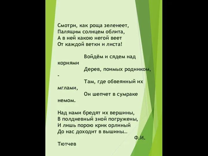 Смотри, как роща зеленеет, Палящим солнцем облита, А в ней какою негой